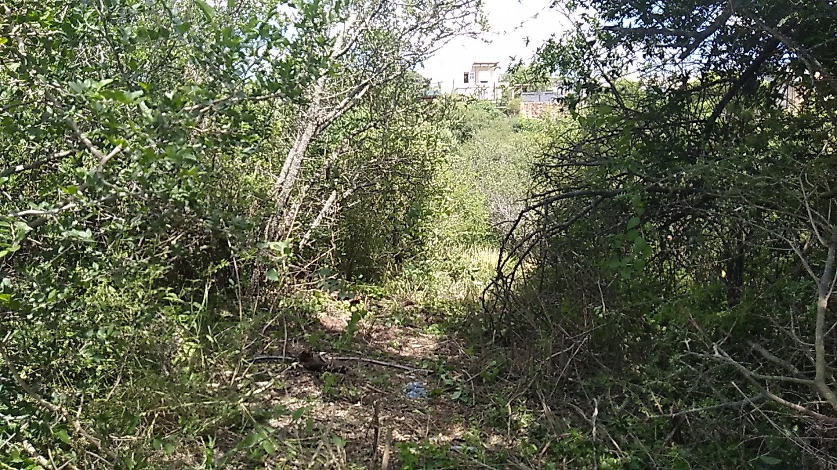 LIQUIDO LOTE  391 m², en Siquiman B° Villa Las Mojarras, con Escritura.