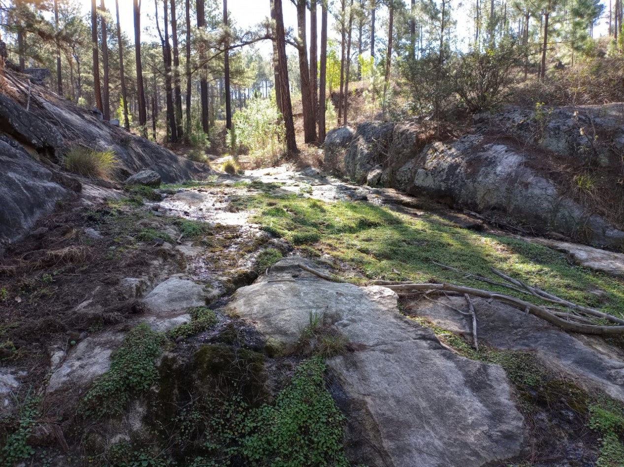 Vendo 4 lotes/ hectarea -Yacanto Calamuchita desde 9000m2 