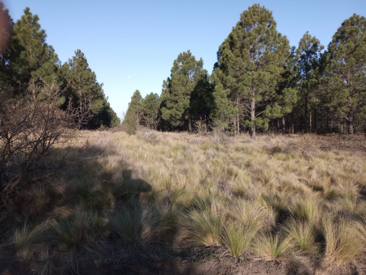 Vendo 4 lotes/ hectarea -Yacanto Calamuchita desde 9000m2 
