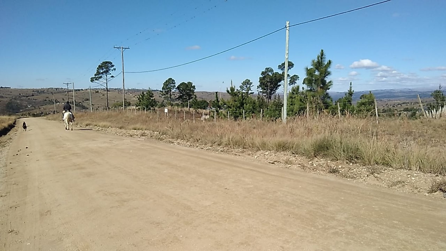 Vendo 4 lotes/ hectarea -Yacanto Calamuchita desde 9000m2 