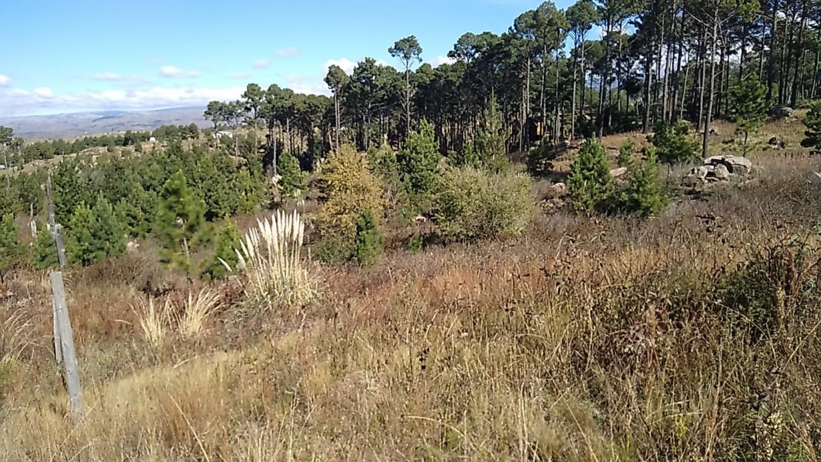Vendo 4 lotes/ hectarea -Yacanto Calamuchita desde 9000m2 