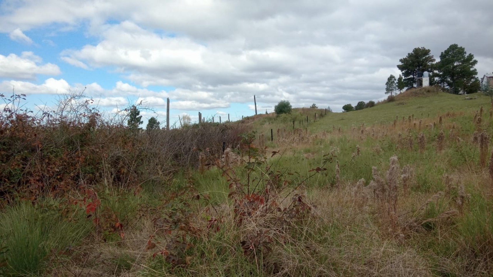 Vendo 4 lotes/ hectarea -Yacanto Calamuchita desde 9000m2 