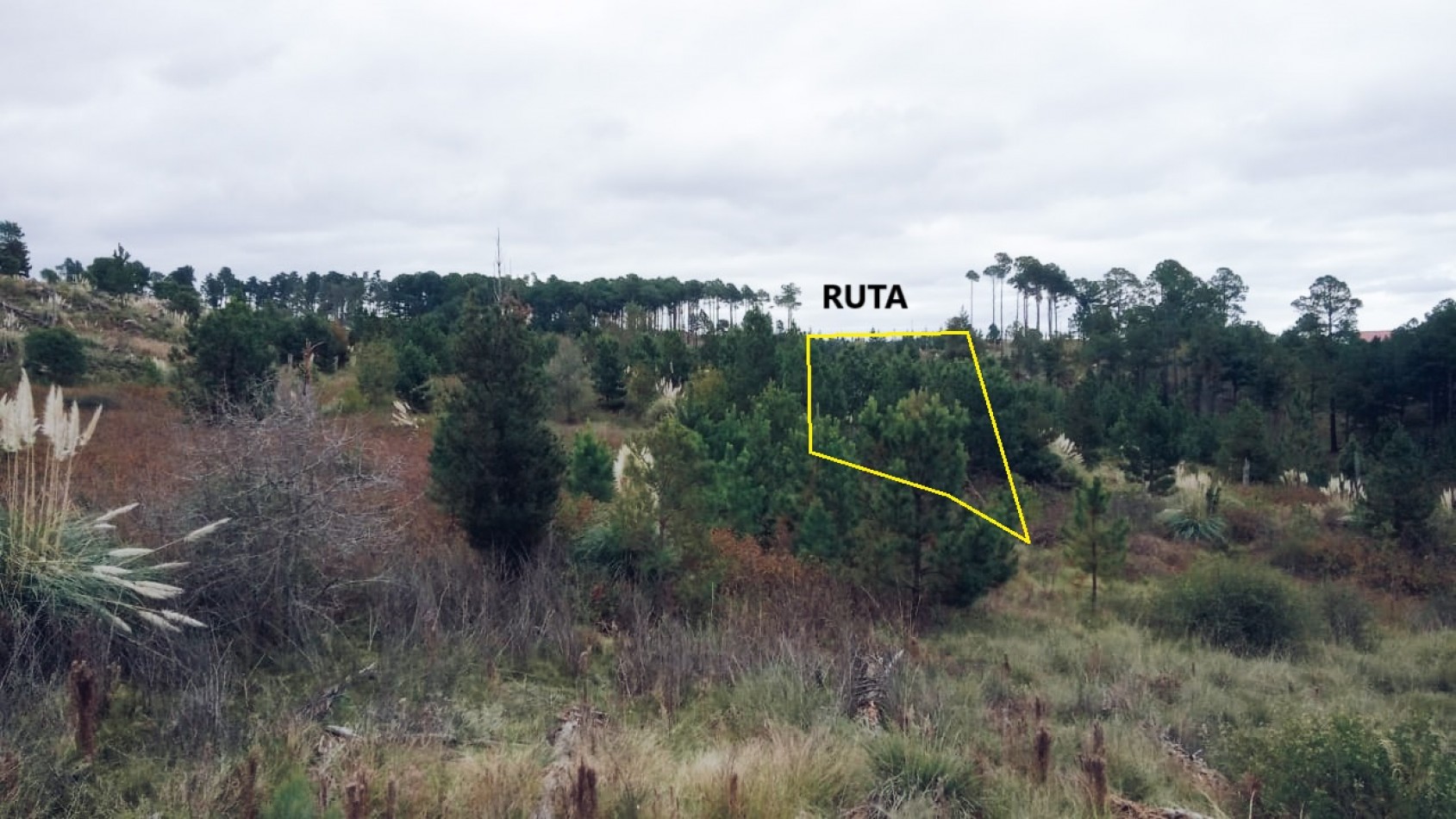 Vendo 4 lotes/ hectarea -Yacanto Calamuchita desde 9000m2 