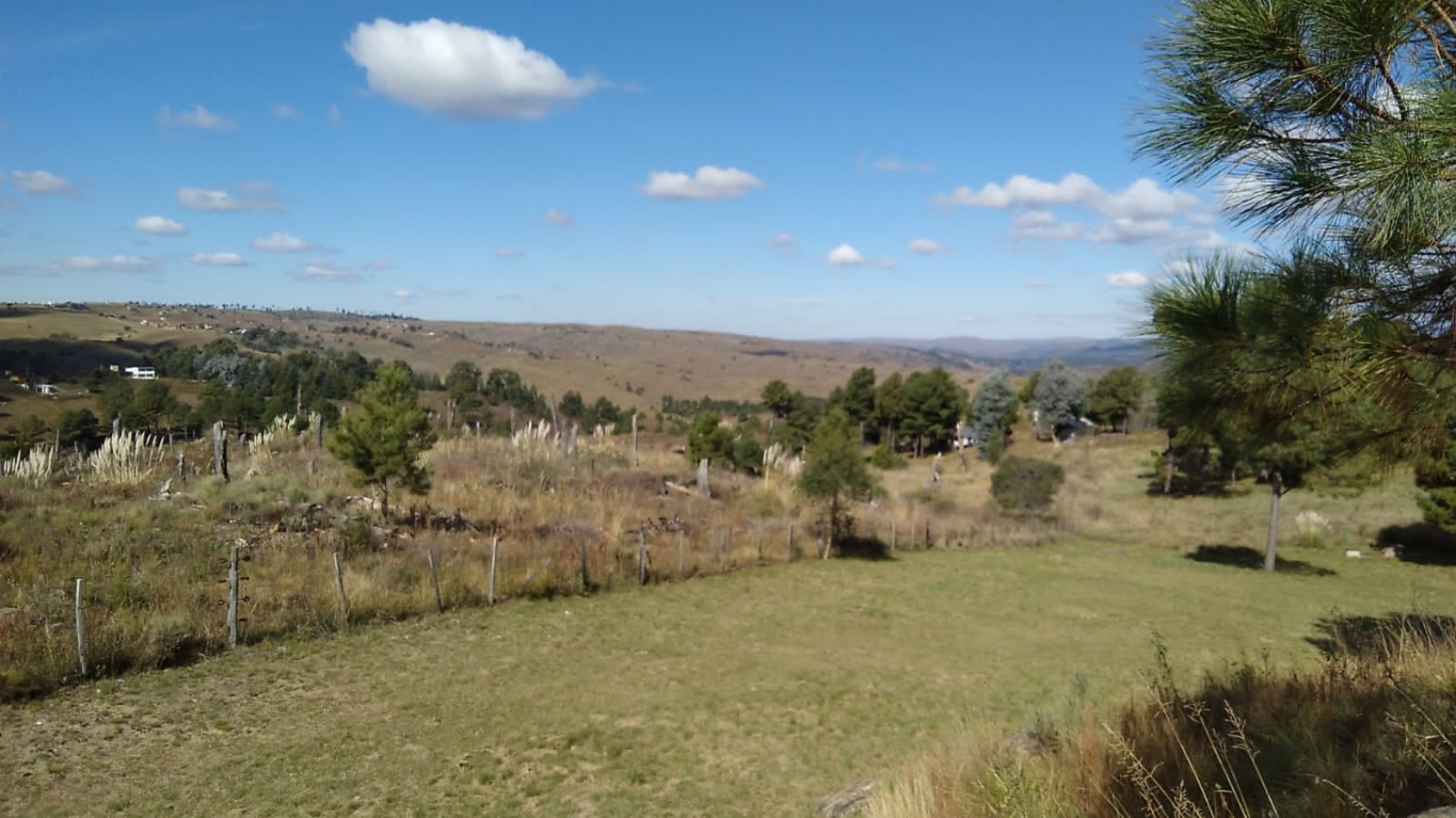 Vendo 4 lotes/ hectarea -Yacanto Calamuchita desde 9000m2 