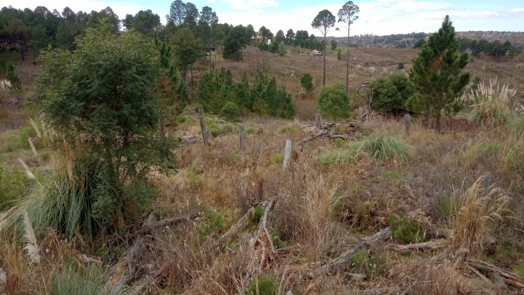 Vendo 4 lotes/ hectarea -Yacanto Calamuchita desde 9000m2 
