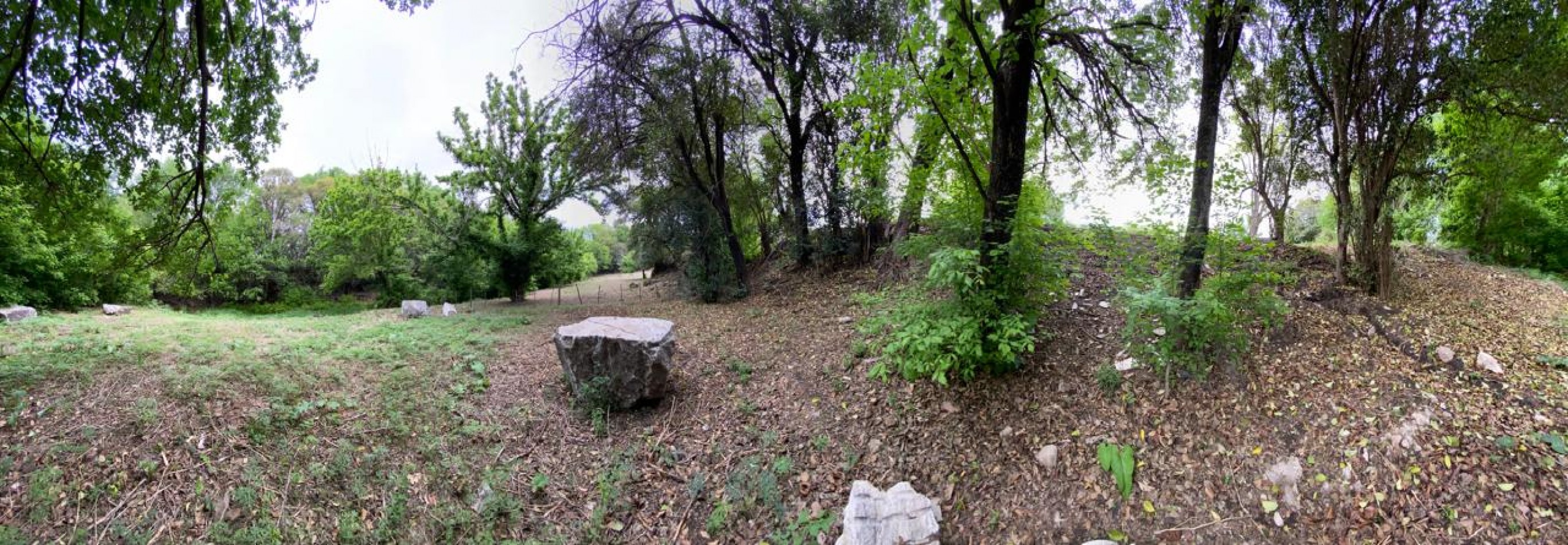 LOTE