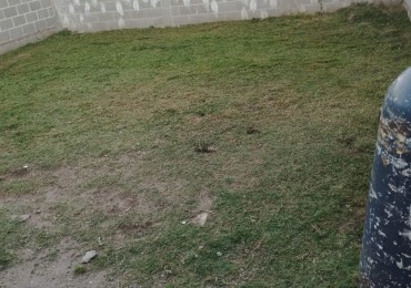 ¡Excelente oportunidad ! Vendo plan de vivienda Horizonte, Tipologia C46 Casa de un dormitorio con mejoras  