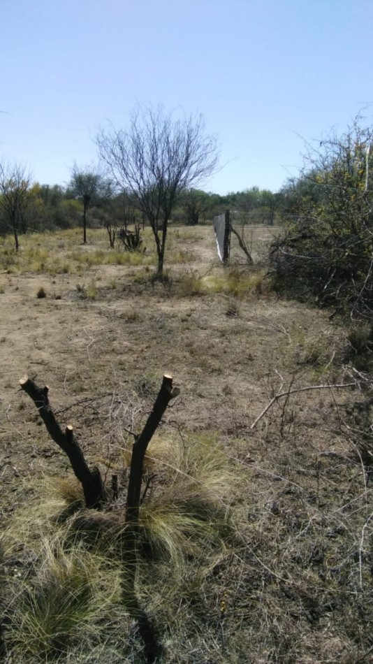 OPORTUNIDAD LOTE A 7 CUADRAS PLAZA DE LA PAZ