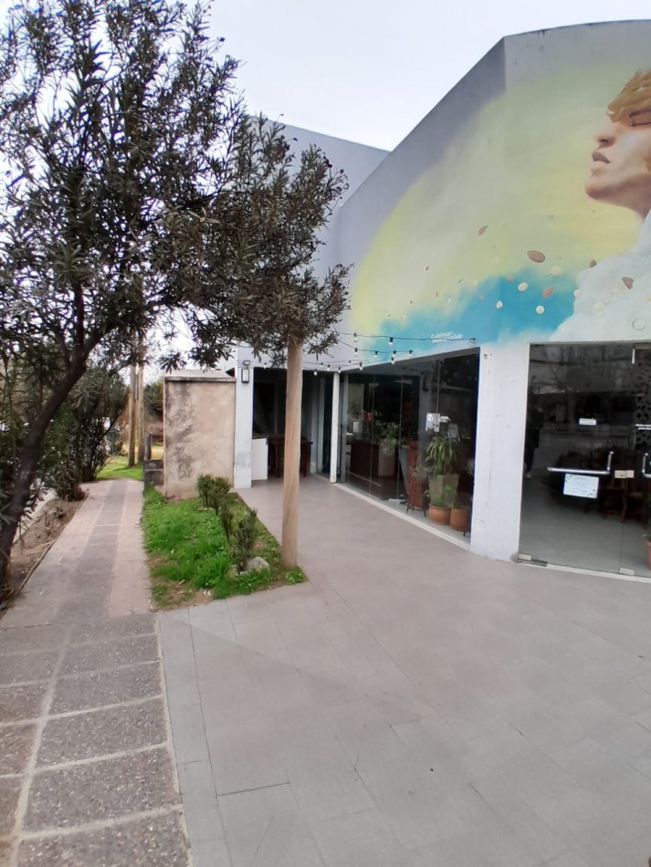 PREDIO 2 DEPARTAMNETOS Y 3 LOCALES APTOS SUB-DIVISION