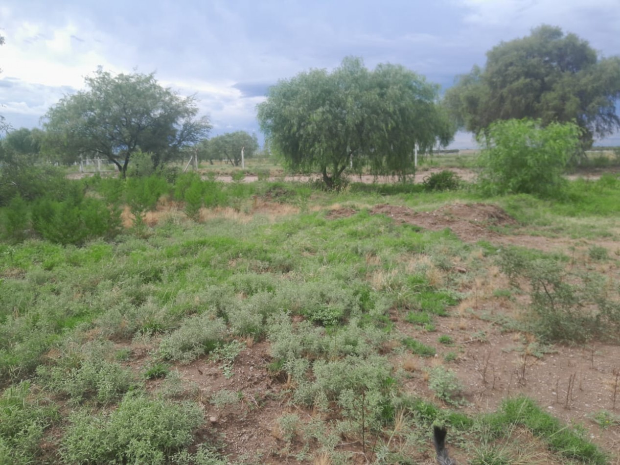 LOTE ESQUINA EN VENTA FRENTE AL AUTODROMO BARRIO PRIVADO LAS LAJAS