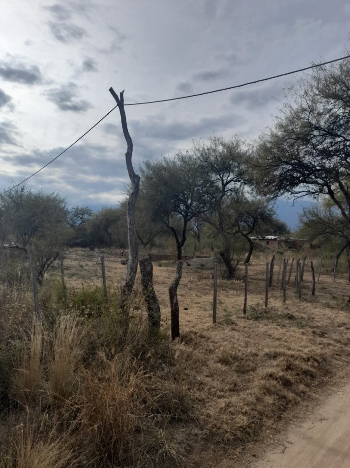 OPORTUNIDAD EN LOS PUESTOS