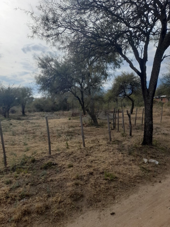 OPORTUNIDAD EN LOS PUESTOS